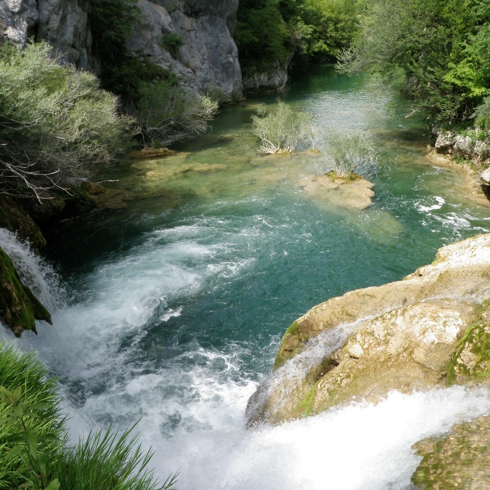 Mrežnica